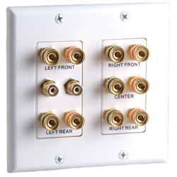 HOME THEATER - PLATE - FULL SOLUTION<br><font size=3><b>WHITE 2-Gang - 10 Gold Binding Post / 2 RCA