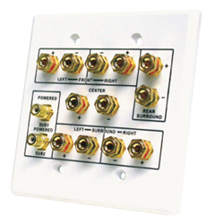 HOME THEATER - PLATE - FULL SOLUTION<br><font size=3><b>WHITE 2-Gang - 12 Gold Binding Post / 2 RCA